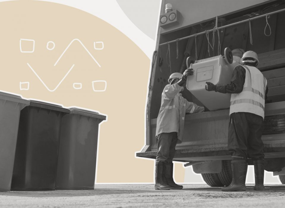 dualvet-course-cover